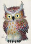 Colorful owl - bufnita colorata